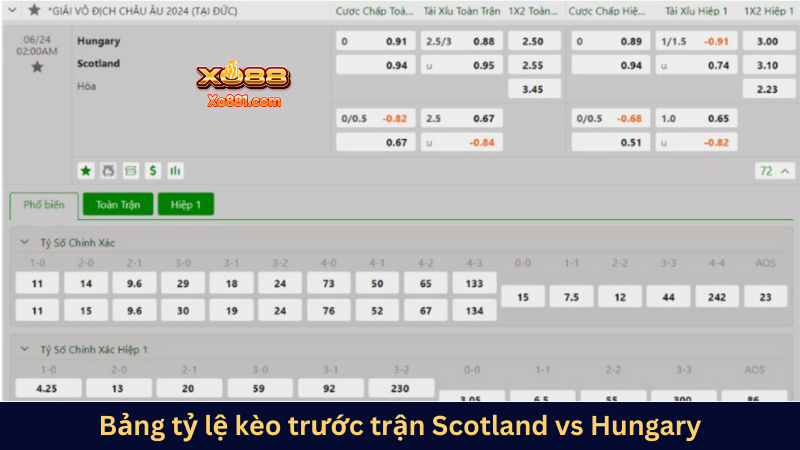 Bảng tỷ lệ kèo trước trận Scotland vs Hungary bảng A Euro 2024 