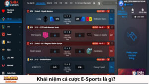 E-Sports luôn thu hút sự quan tâm của nhiều người 