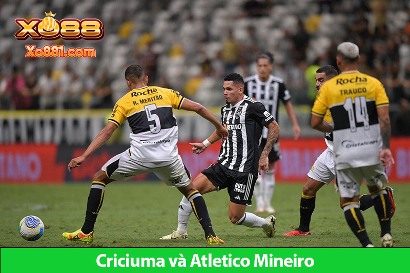 Kèo hay giữa Criciuma vs Atletico Mineiro 6h00 ngày 4/8 trên xo881