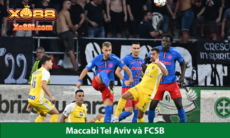 Phân tích kèo giữa Maccabi Tel Aviv vs FCSB 1h00 ngày 1/8 tại Nhà cái xo88