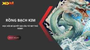 Học hỏi bí quyết soi cầu Rồng Bạch Kim bách phát bách trúng từ game thủ Xo881