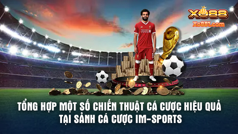 Cược thủ bật mí một vài mẹo chơi tại sảnh cá cược IM-Sports