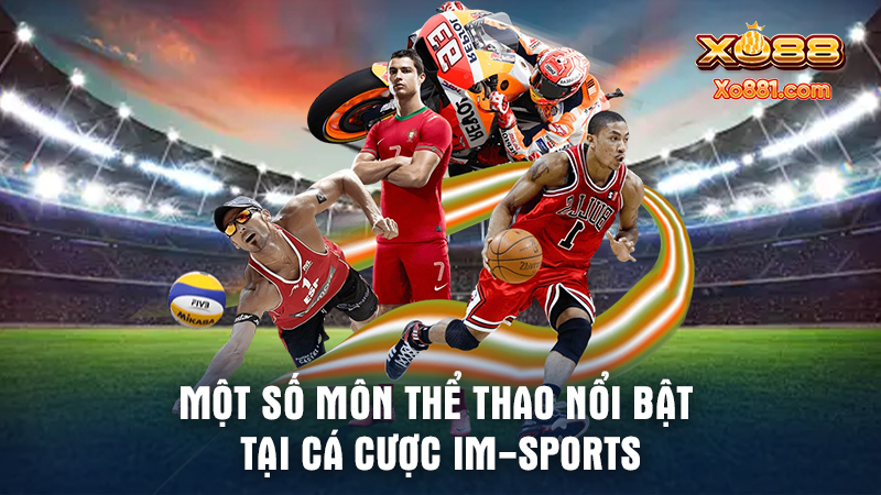 Chia sẻ hướng dẫn các bước tham gia tại sảnh cá cược IM-Sports