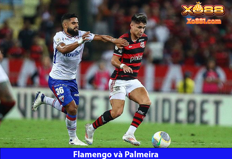 Nhận định trận bóng Flamengo vs Palmeira 2h00 ngày 12/8 cùng xo88