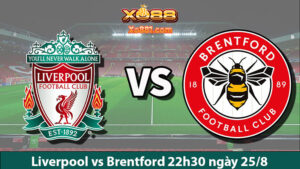 Phân tích kèo vàng Liverpool vs Brentford 22h30 ngày 25/8 cùng xo881