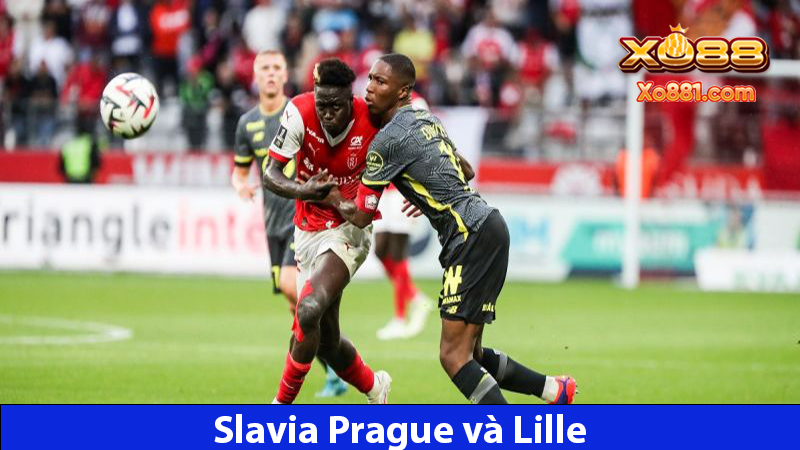 Soi kèo trận bóng Slavia Prague vs Lille 2h00 ngày 29/8 tại Nhà cái xo88